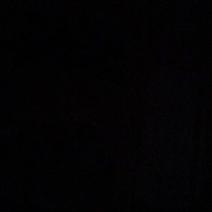 Meet your Posher, Gracie